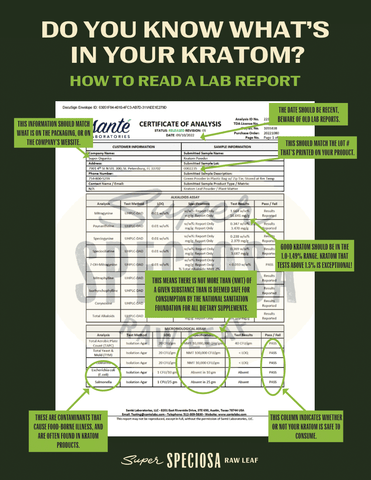 How To Read A Lab Report Sheet
