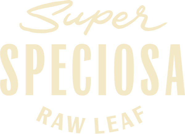 Super Speciosa Wholesale